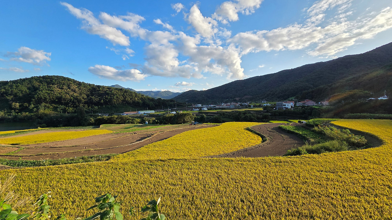 20250920_171743 (1).jpg