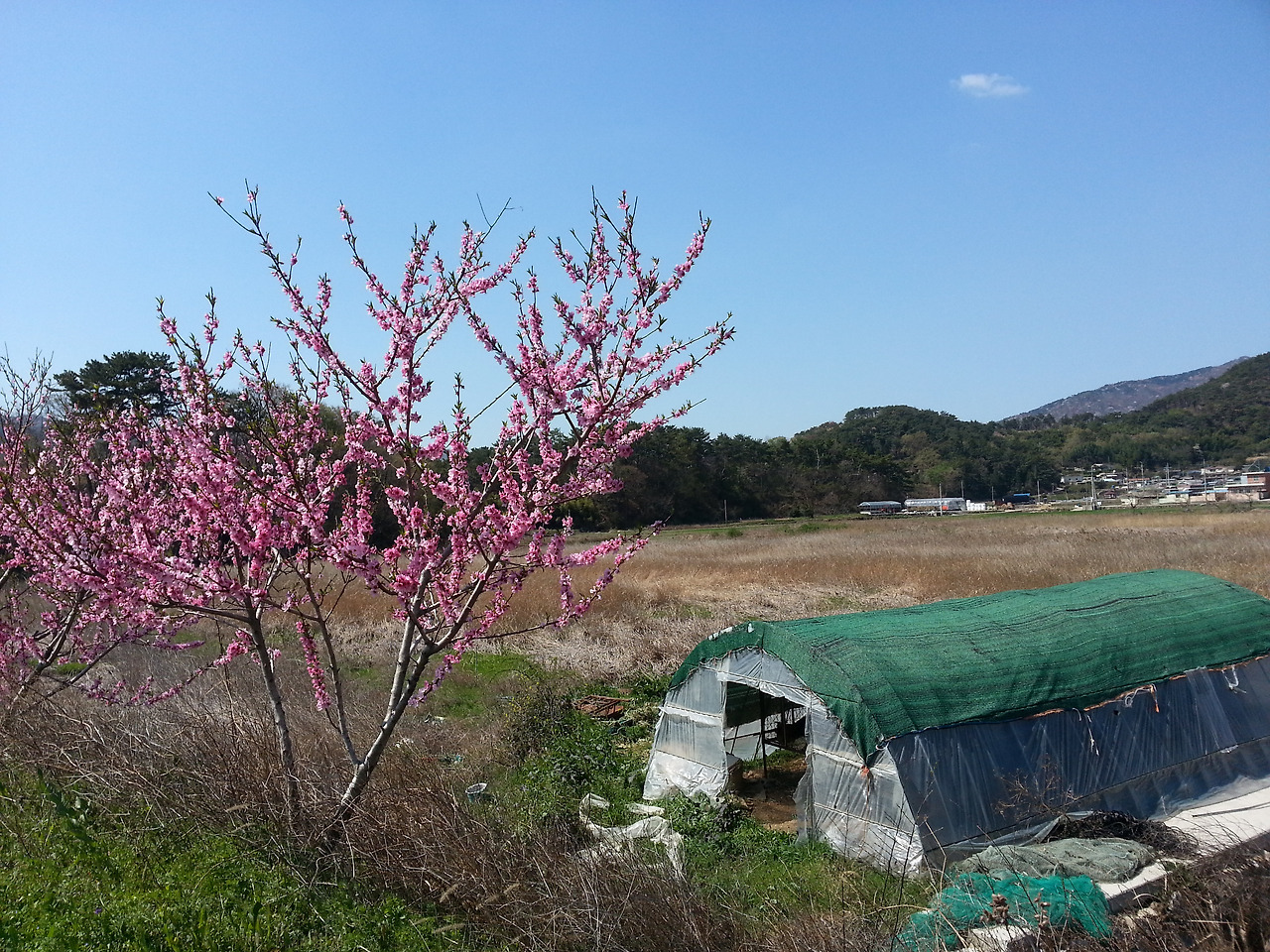 20140406_105116.jpg