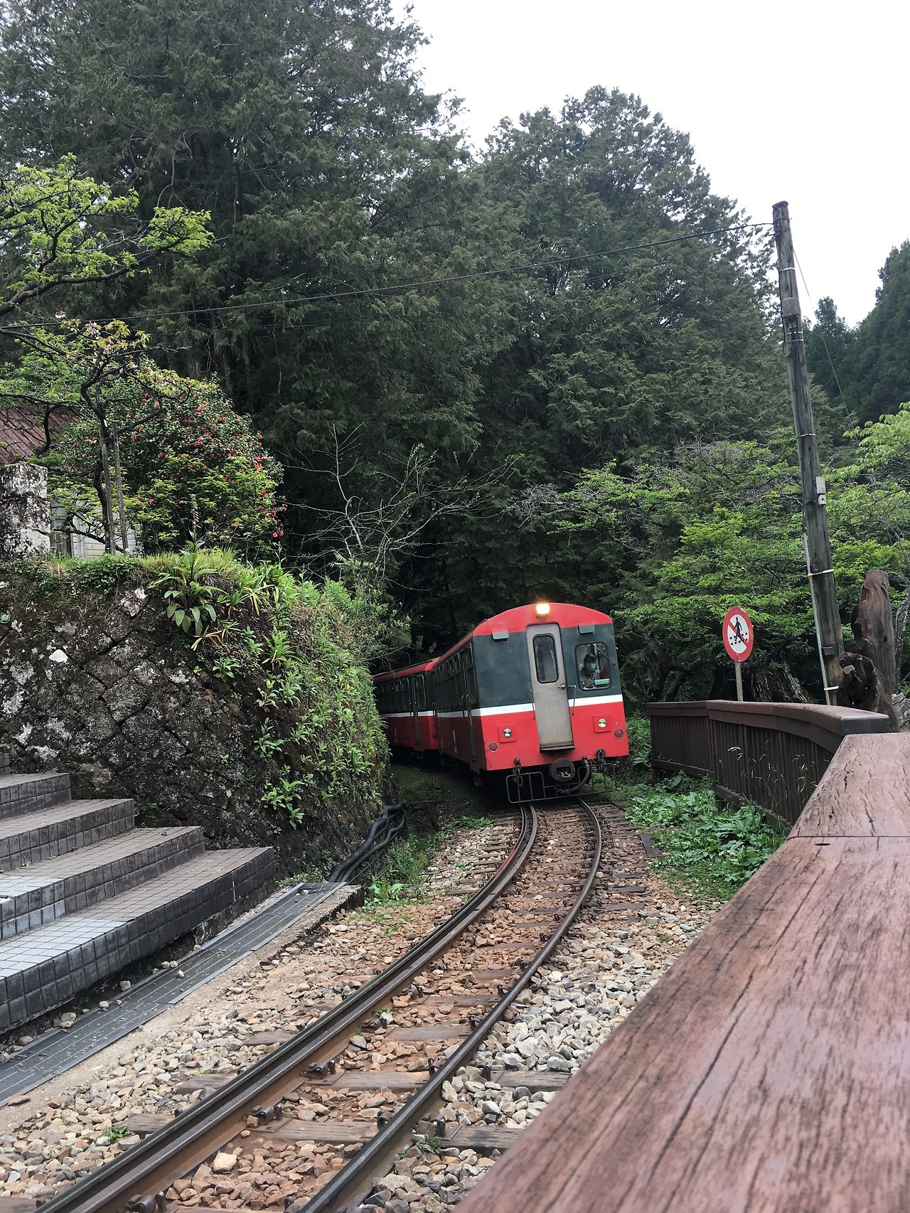 블레어. 아리산 등산열차.jpg