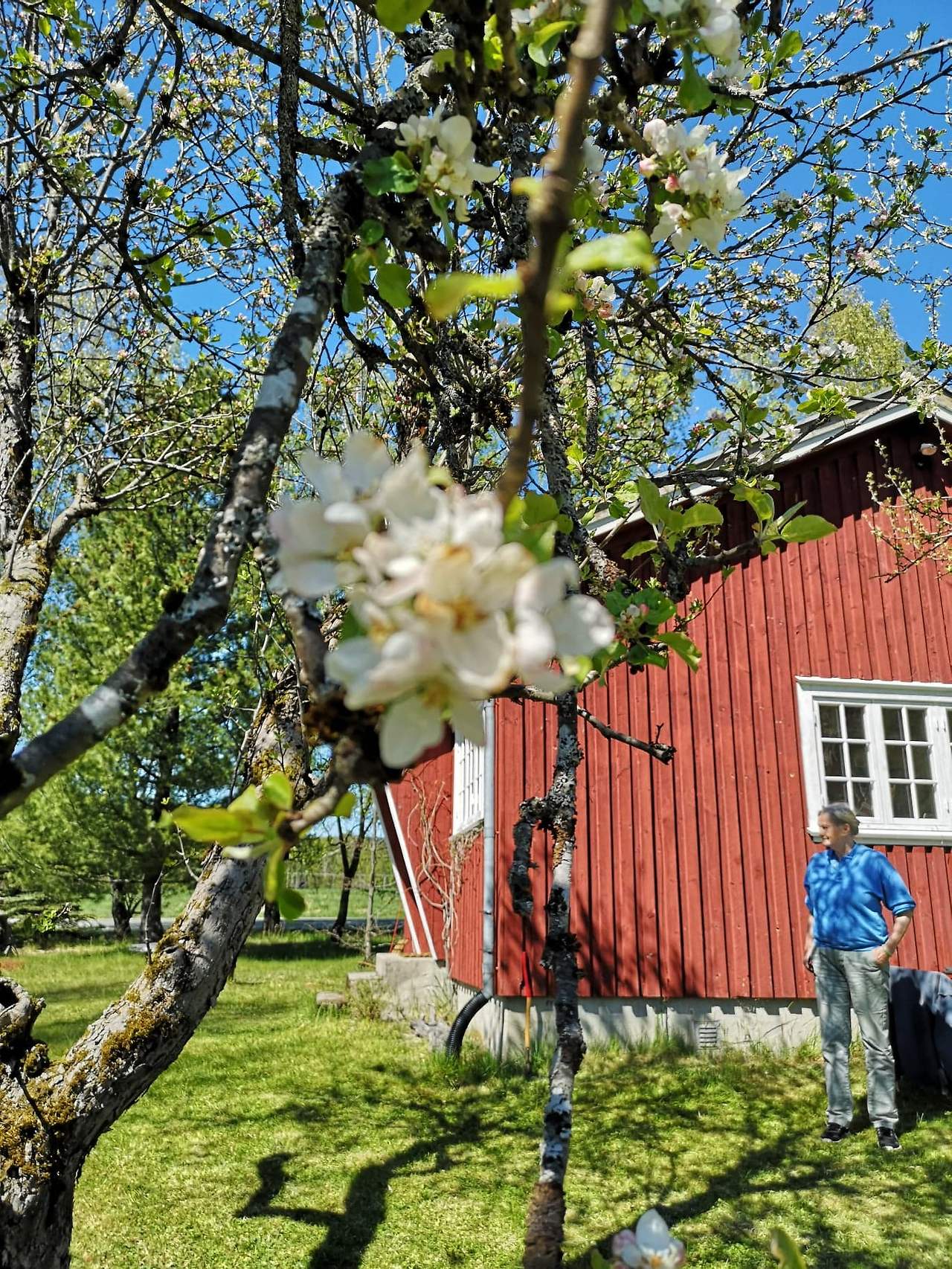 노르웨이에 찾아온 봄.jpg
