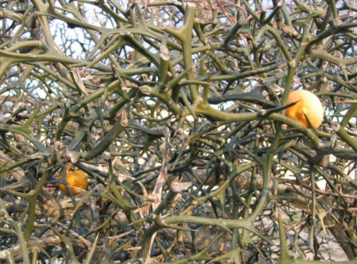 2017-06-21 14;22;47_0.jpg