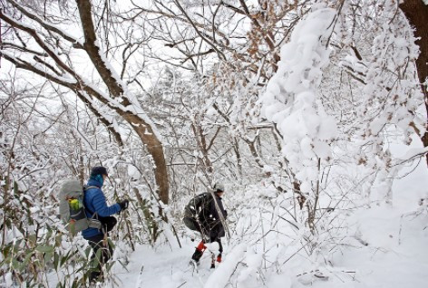 2017-08-01 15;23;07_0.jpg