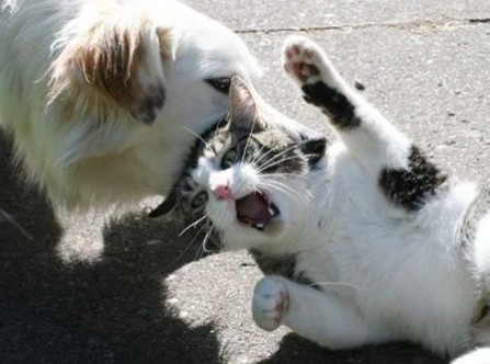 2019-04-22 15;06;22_0.jpg