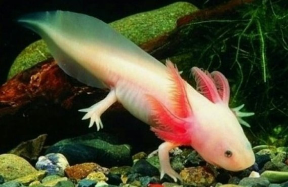 2017-11-20 13;46;58_0.jpg