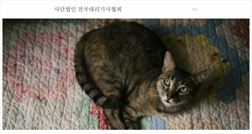 전국대리기사협회구글페이지.jpg