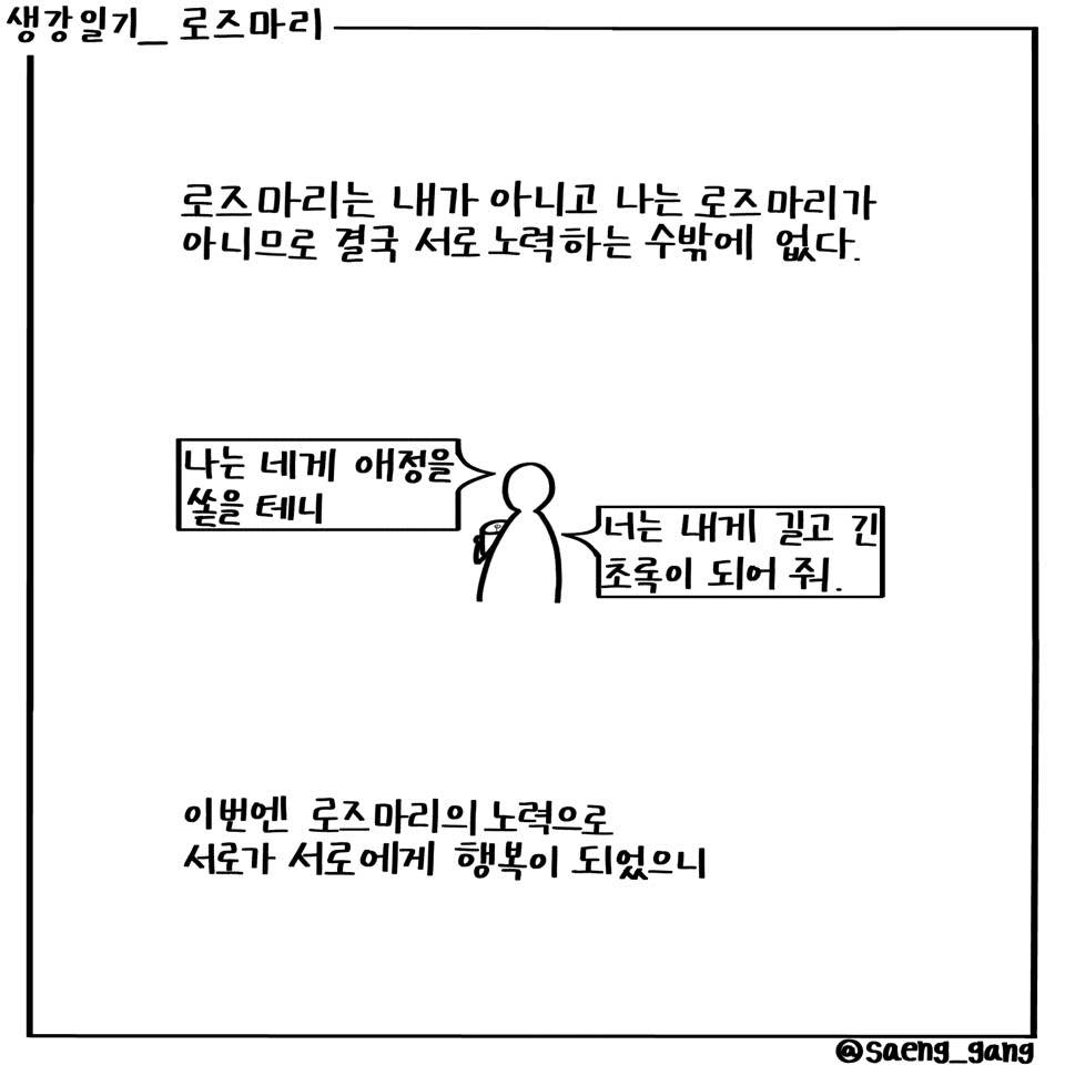 로즈마리6.jpg