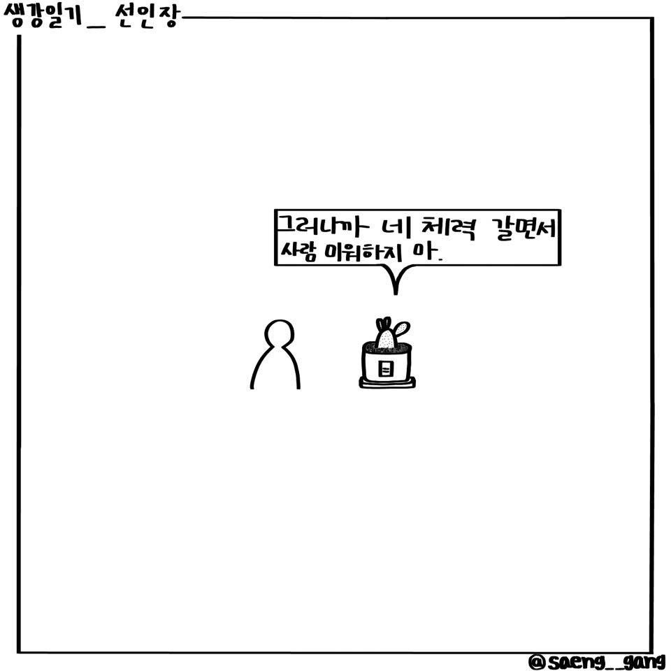 선인장7.jpg