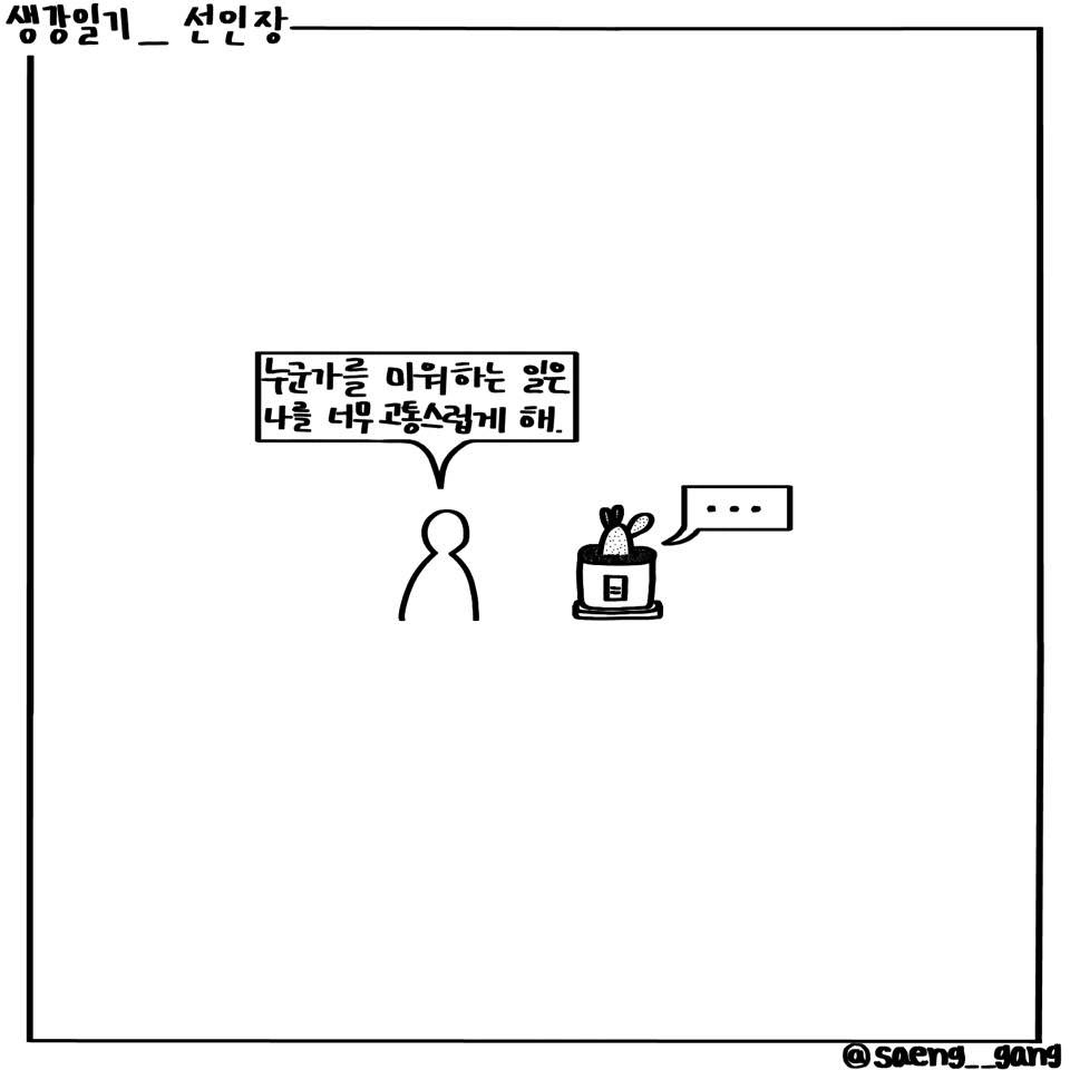 선인장1.jpg