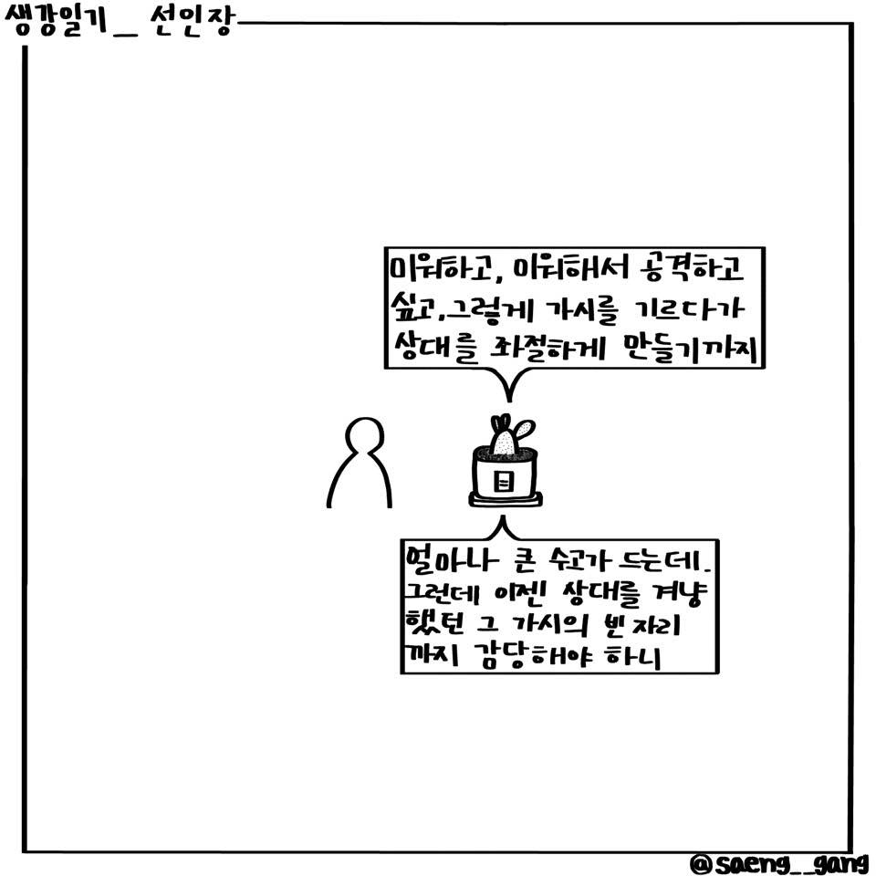 선인장5.jpg