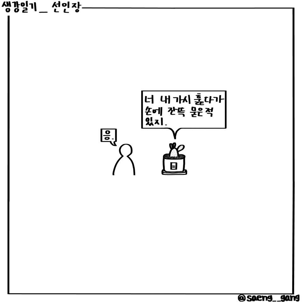선인장2.jpg