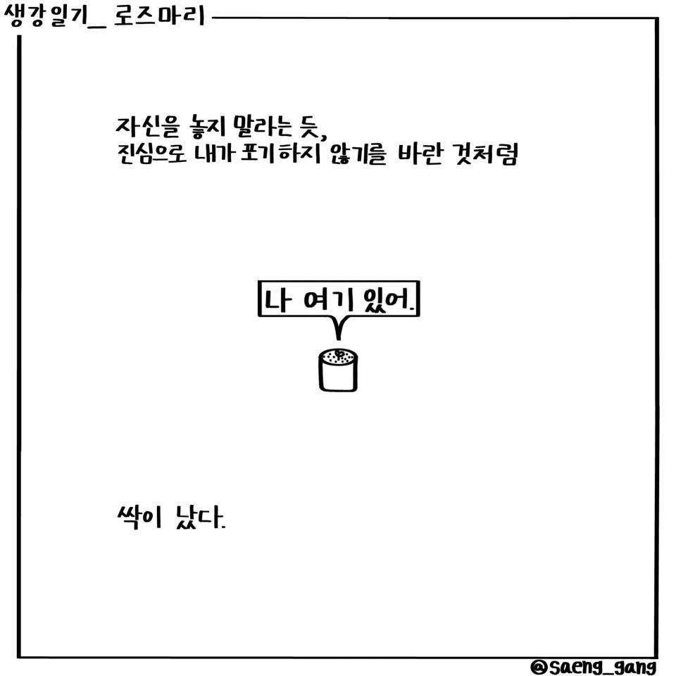 로즈마리3.jpg