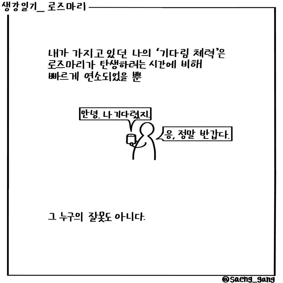 로즈마리5.jpg
