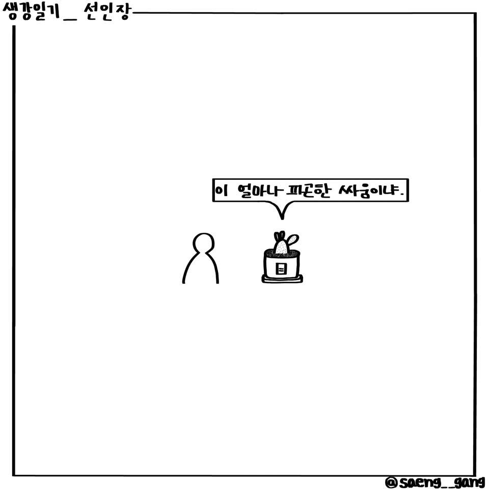 선인장6.jpg