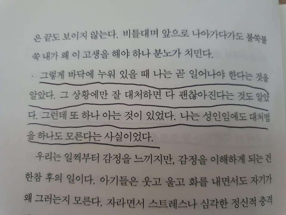 72365318_2599323126772523_7554432545463468032_n (1).jpg