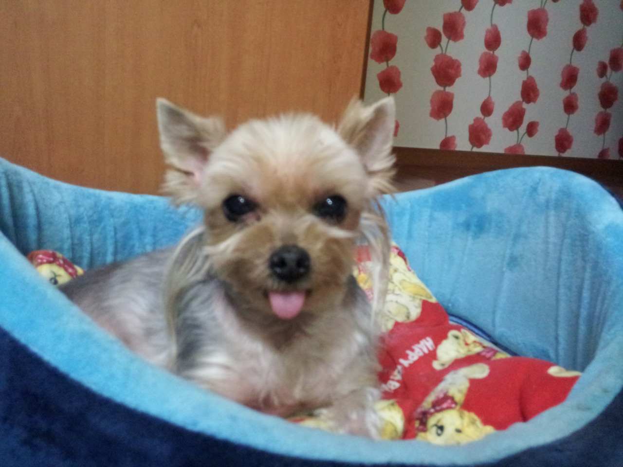 2011-09-21 19.51.11.jpg