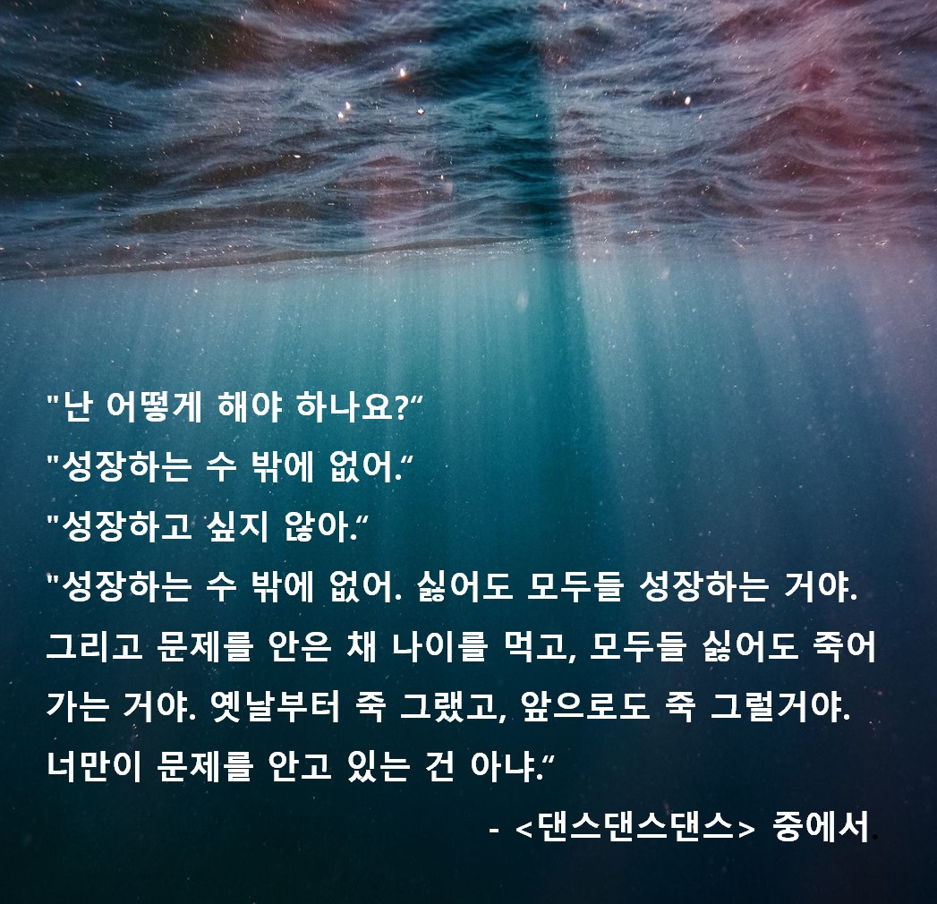 화면 캡처 2023-09-27 205858.jpg