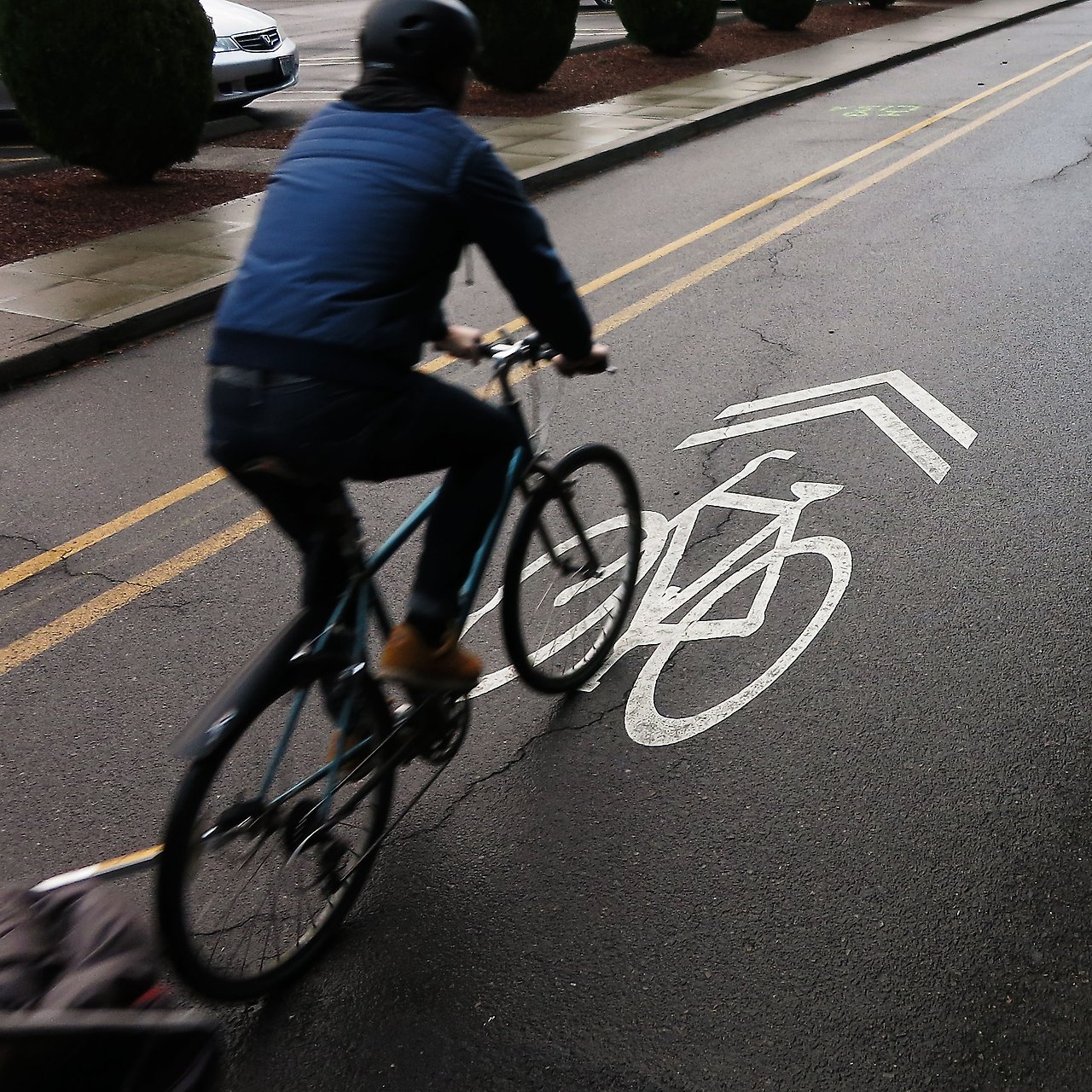 sharrow.jpg