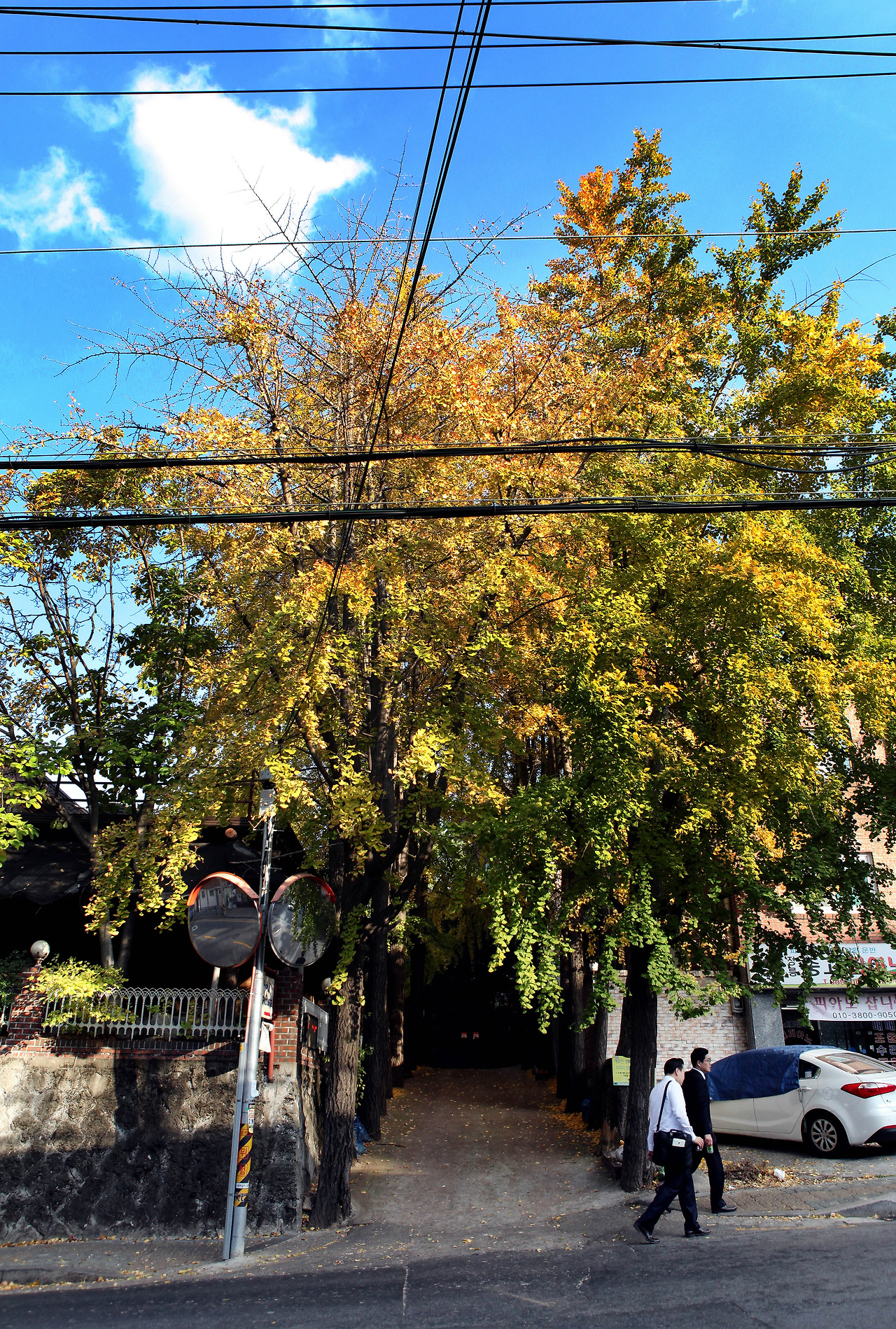 회사 초입 아무개 회장 집 전경-1.jpg