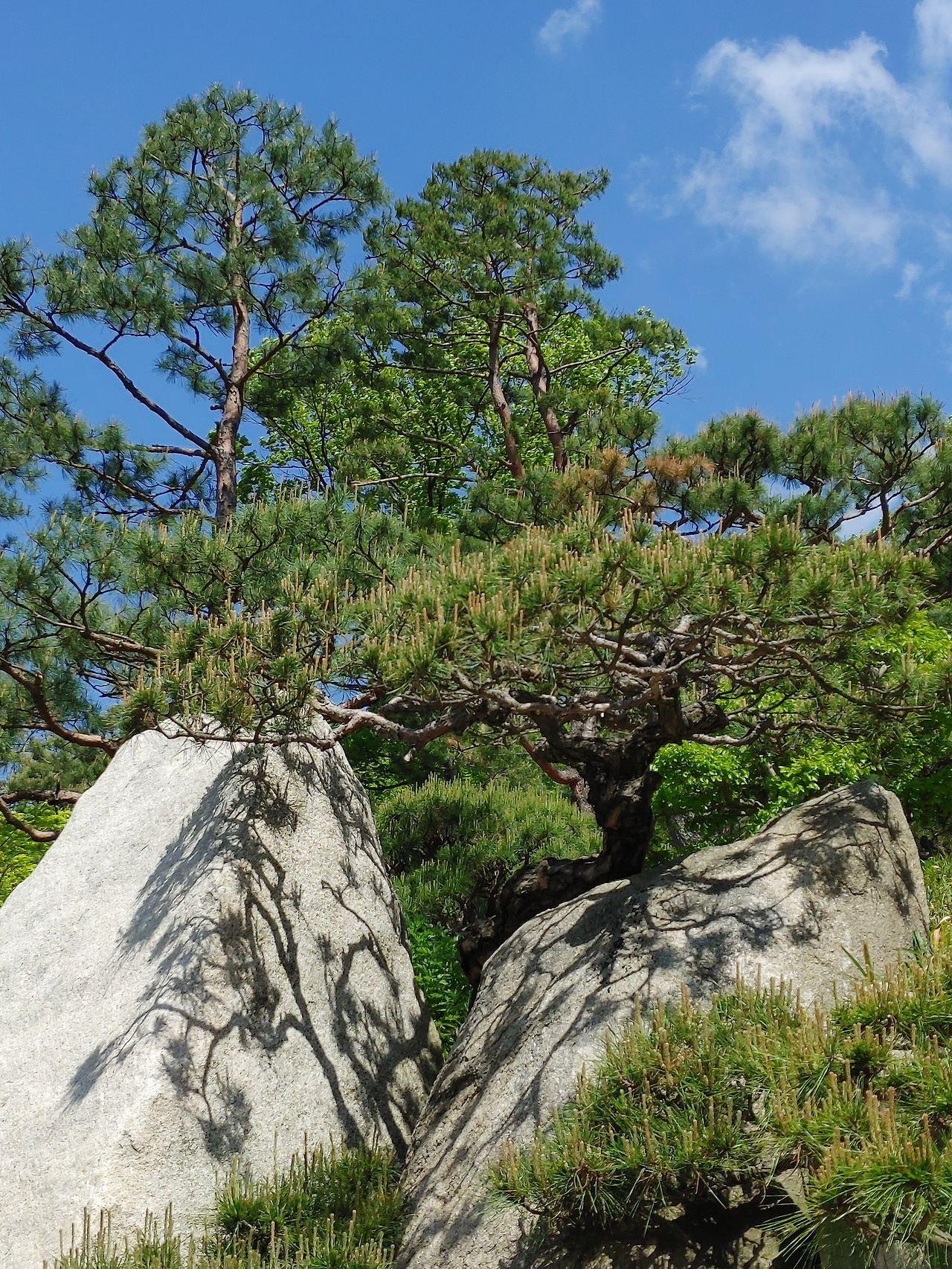 20220501_103234 (1).jpg