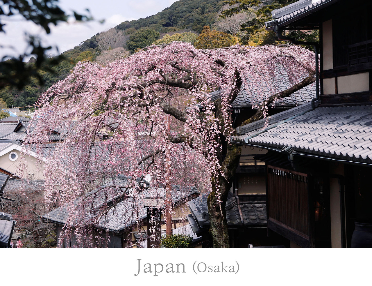 오사카.jpg