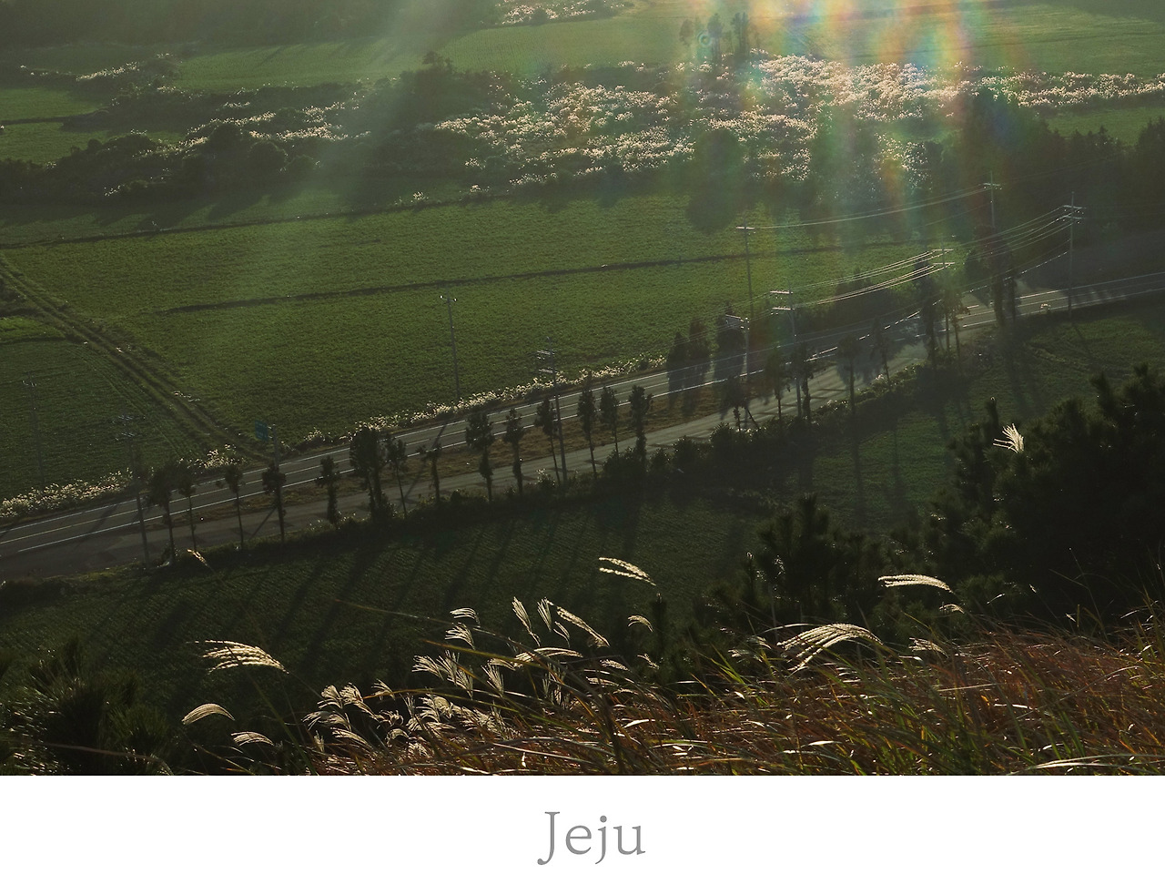 제주.jpg