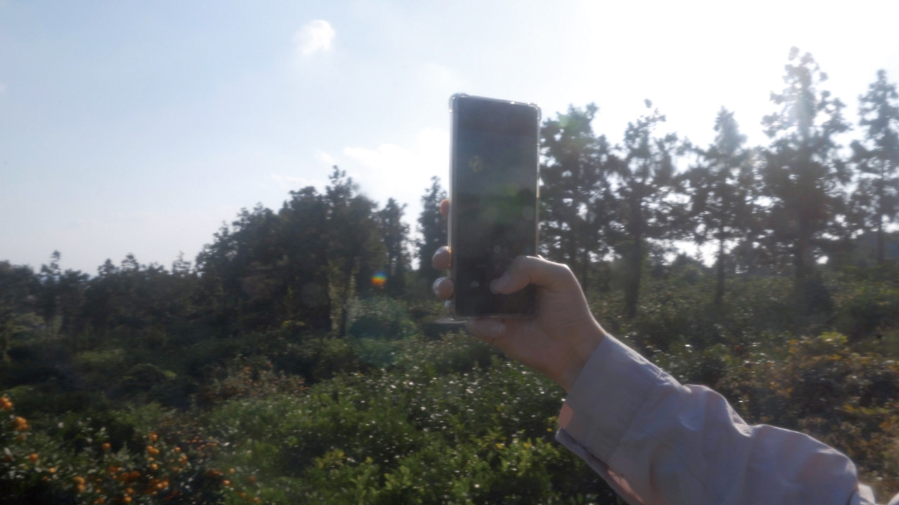 4)시네마필터 (12) (1).jpg