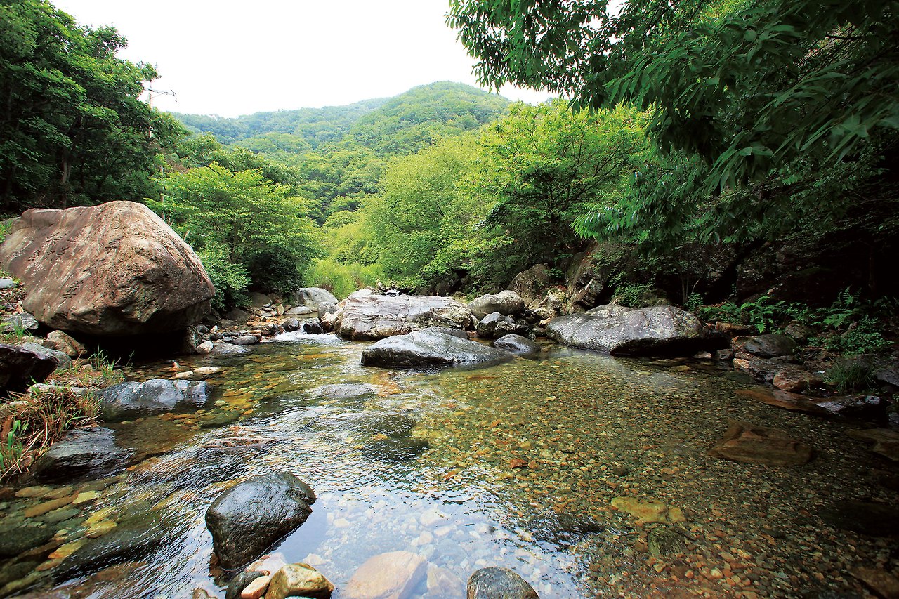 4.옥천사나사계곡1.jpg