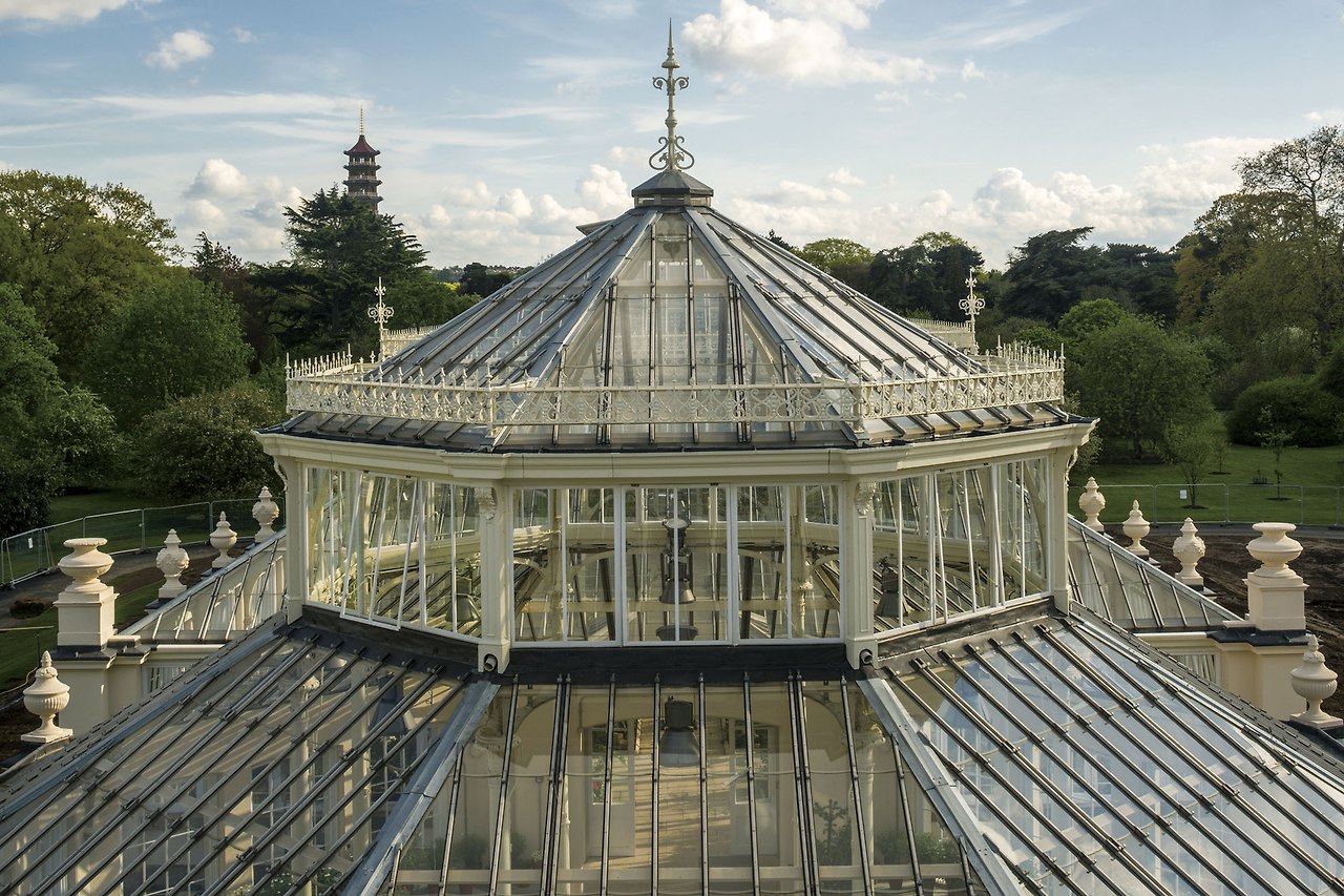 The-Temperate-House.-Credit-Gareth-Gardner-(18).jpg