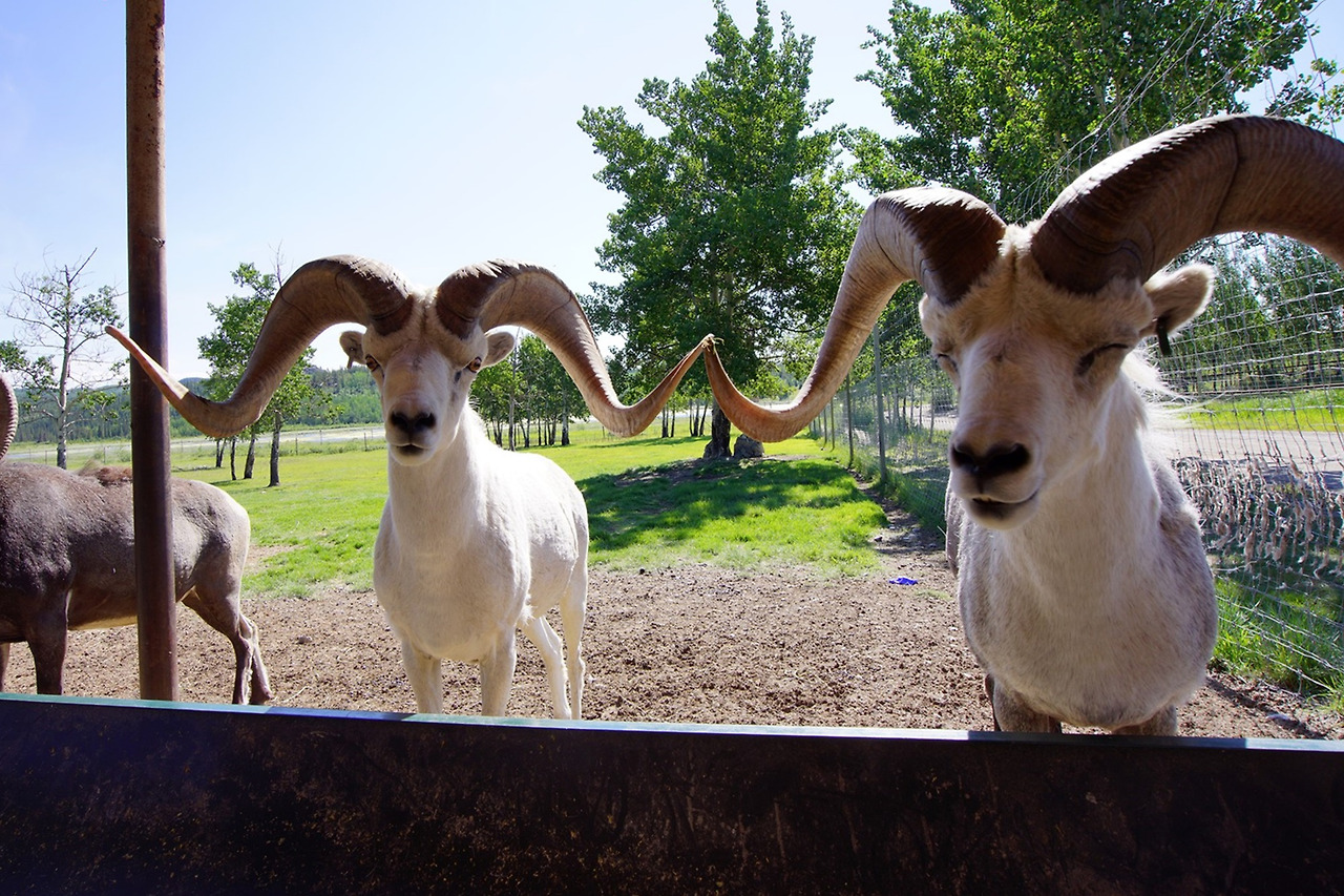 야생동물보호구역 (2).jpg