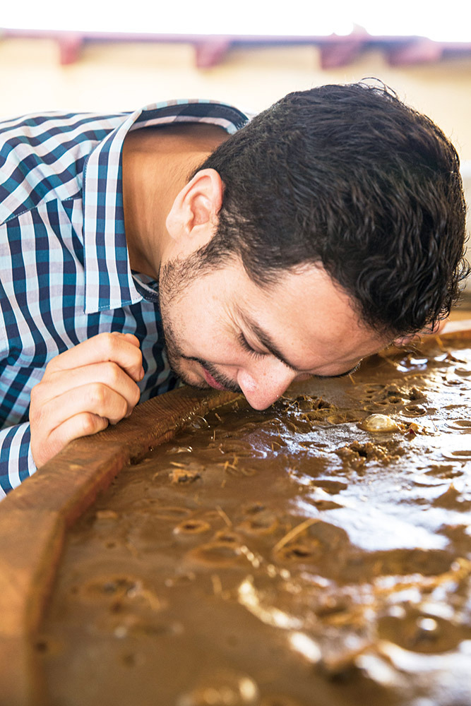 el rey zapotecoPalenque El Cortijo (37).jpg