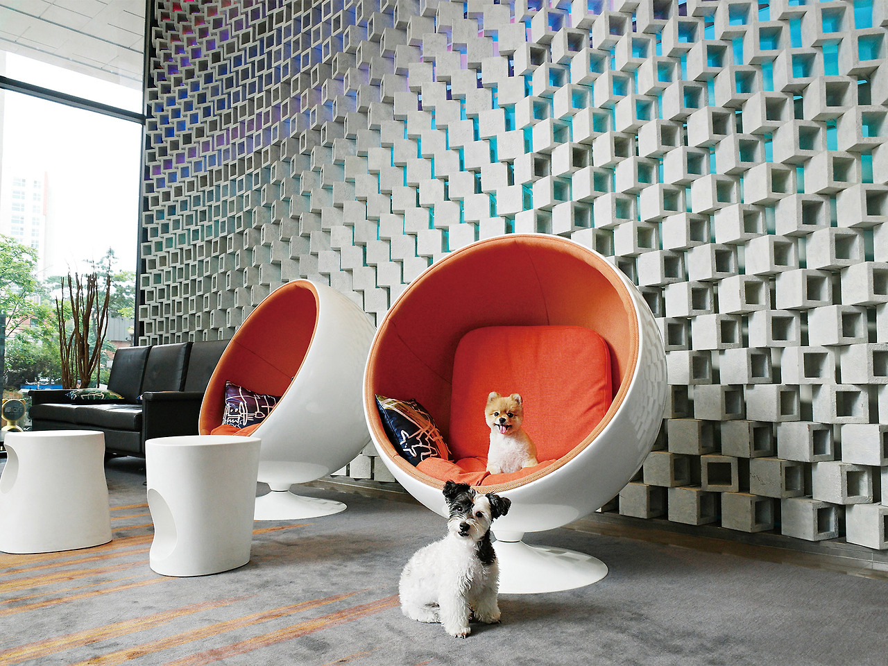 알로프트 서울 강남_땡큐 스튜디오 패키지2(ARF 서비스 제공).jpg