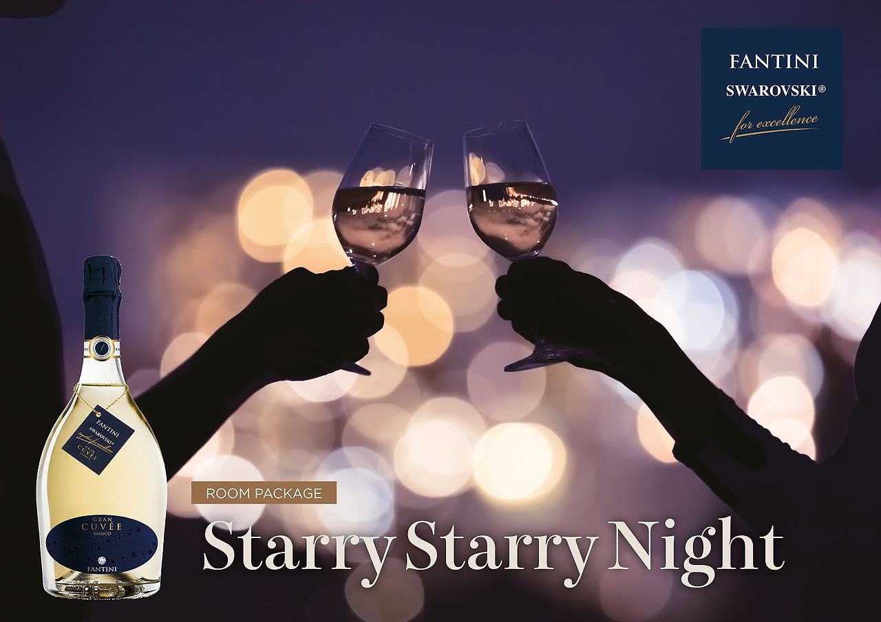 05 서울드래곤시티_MKT_Starry Starry Night PKG_cmyk.jpg