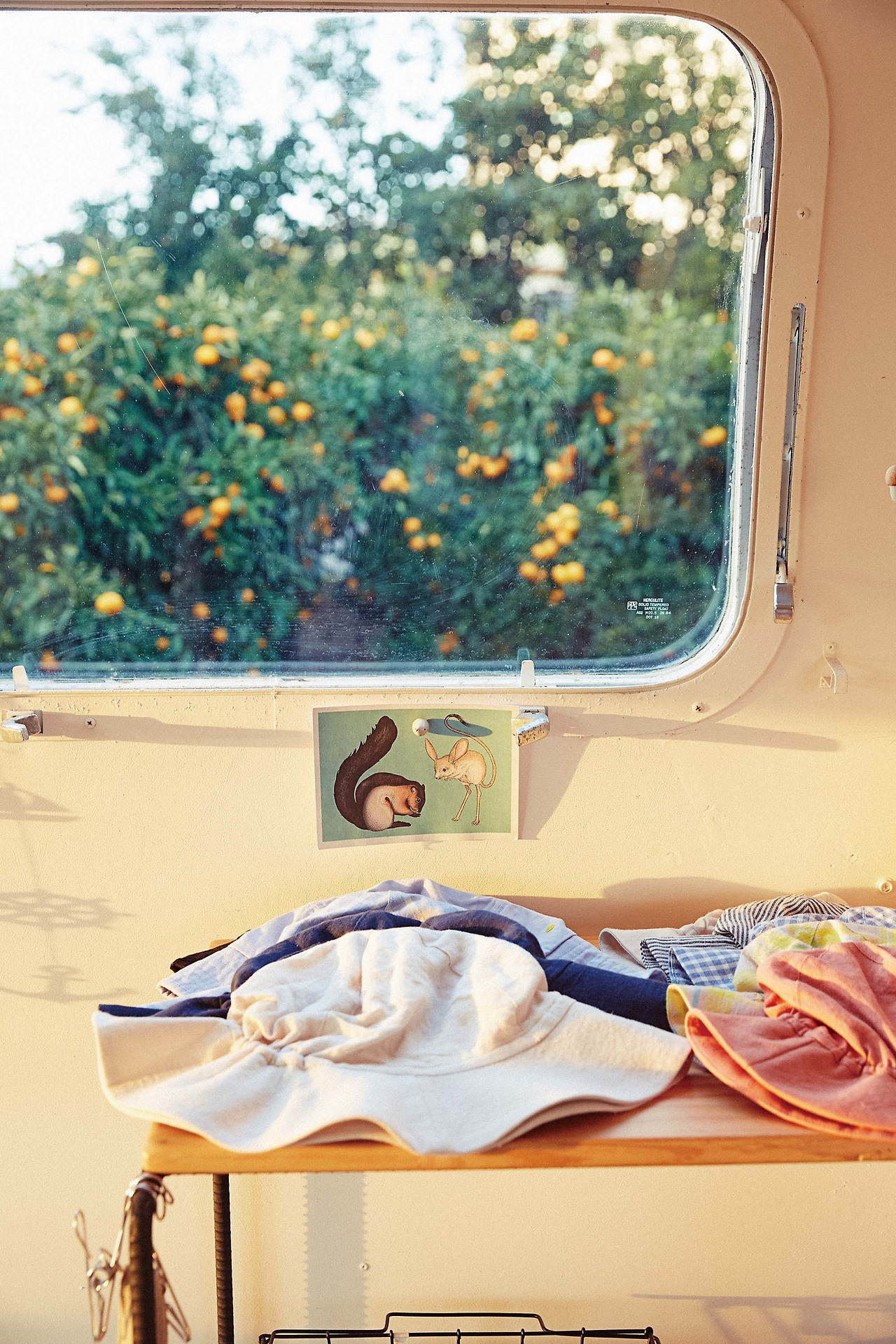 201110론리플래닛 0276.jpg