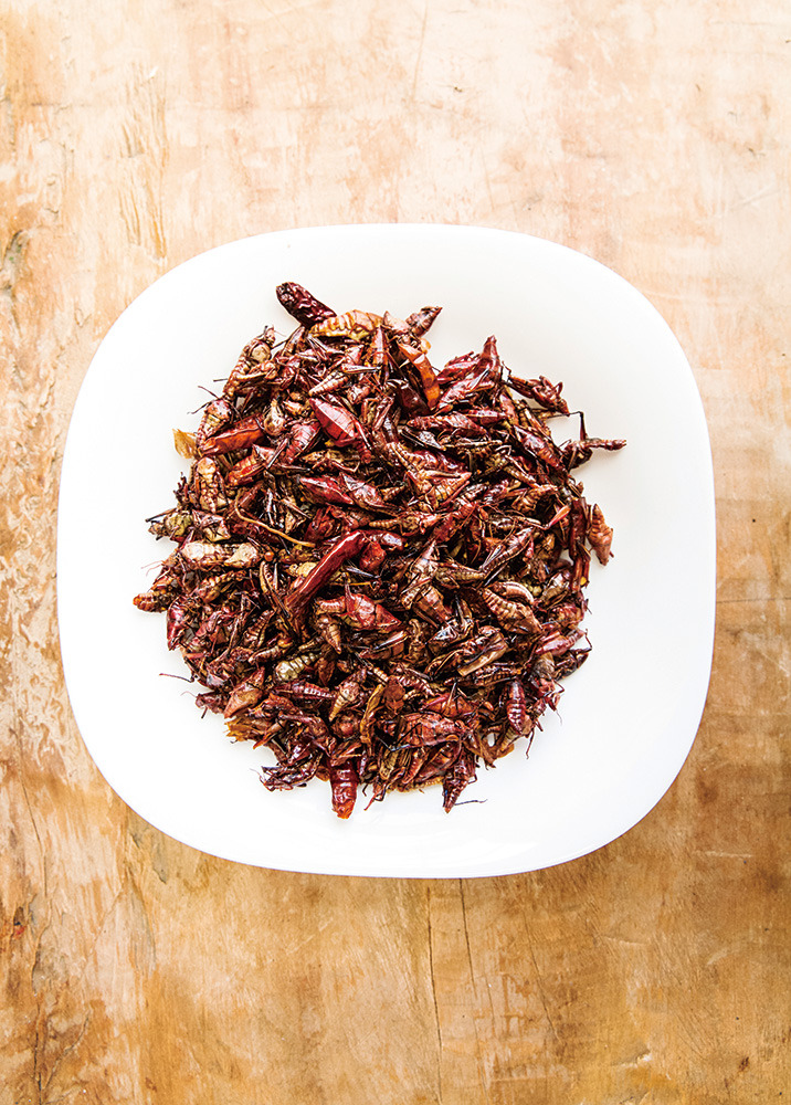 Chilahucle Rojo  (75).jpg