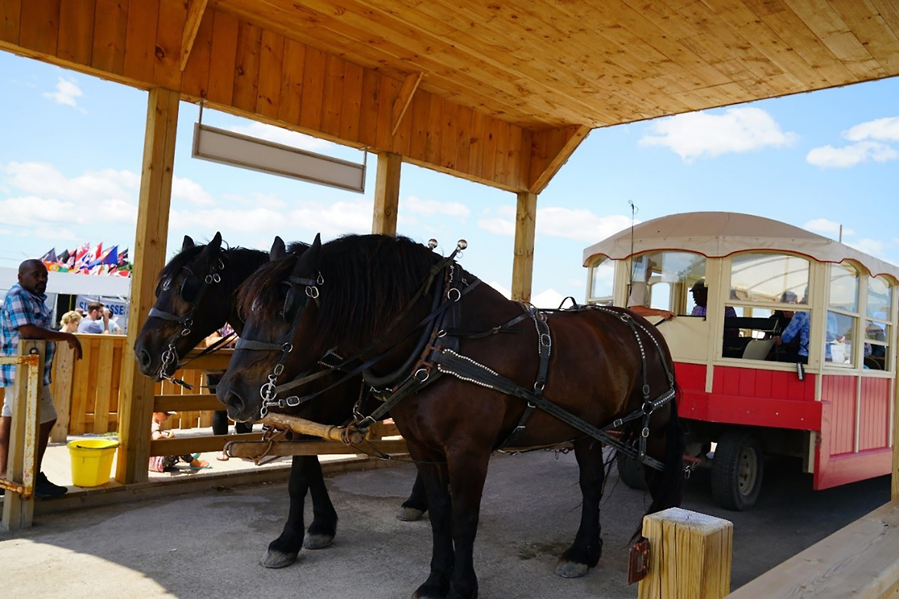 St.Jacobs 마차투어_3.jpg