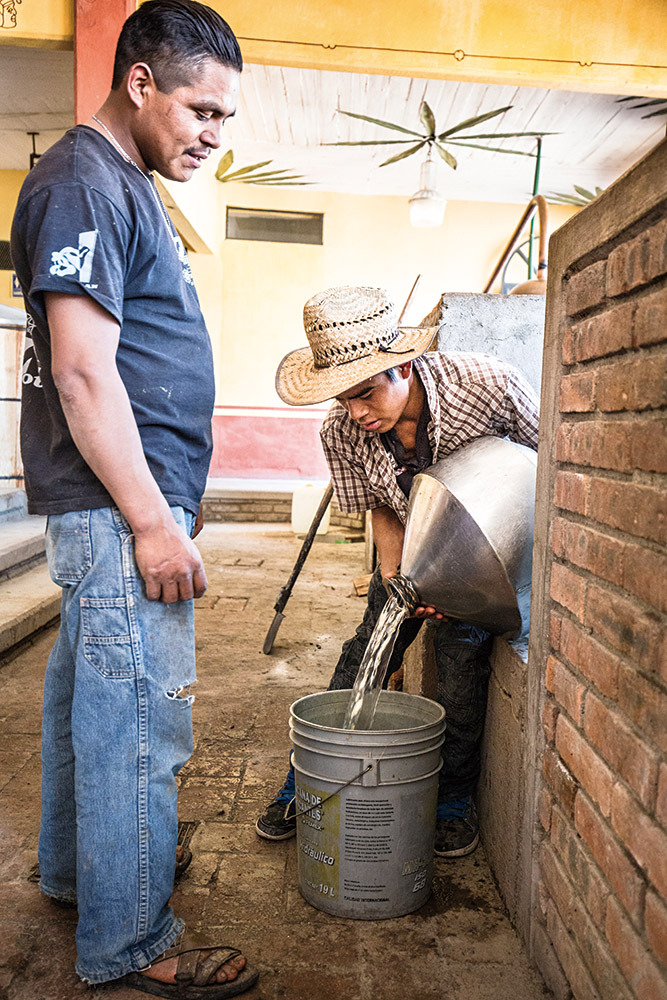 el rey zapotecoPalenque El Cortijo (300).jpg