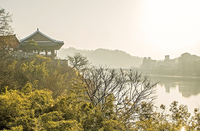 0C0A5245-1_수정 2-crop.jpg