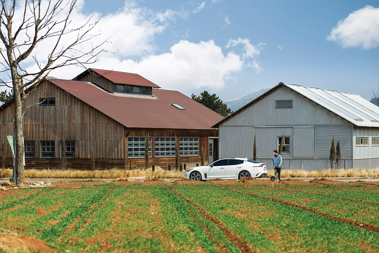 693A3217 cover done re4.jpg