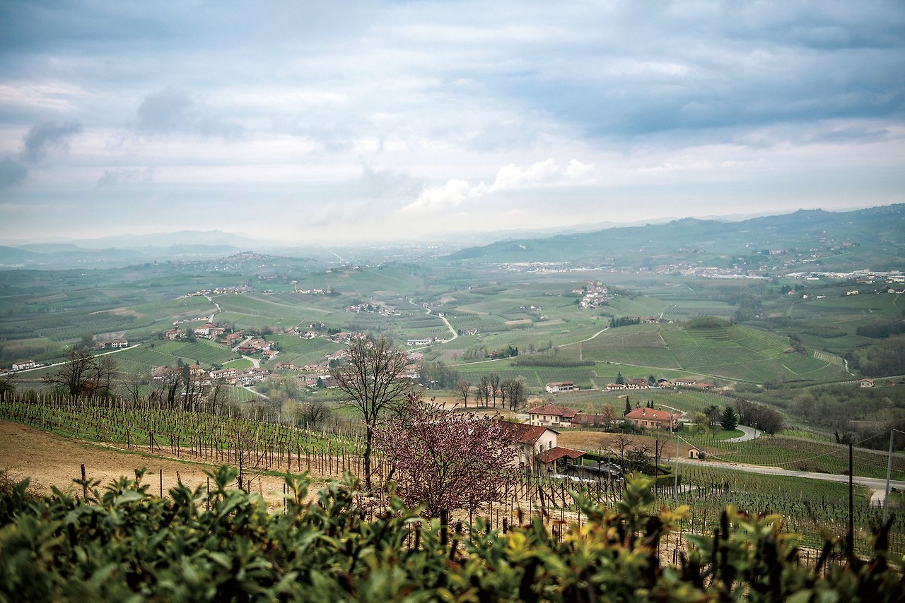 Vineyards-_-town-in-Barolo.jpg