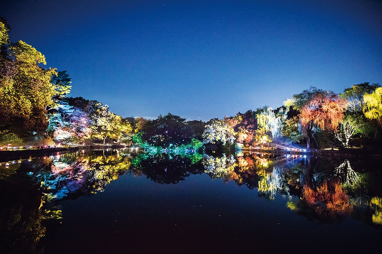 창경궁 빛이그리는시간1_한국문화재재단, 궁중문화축전 제공.jpg