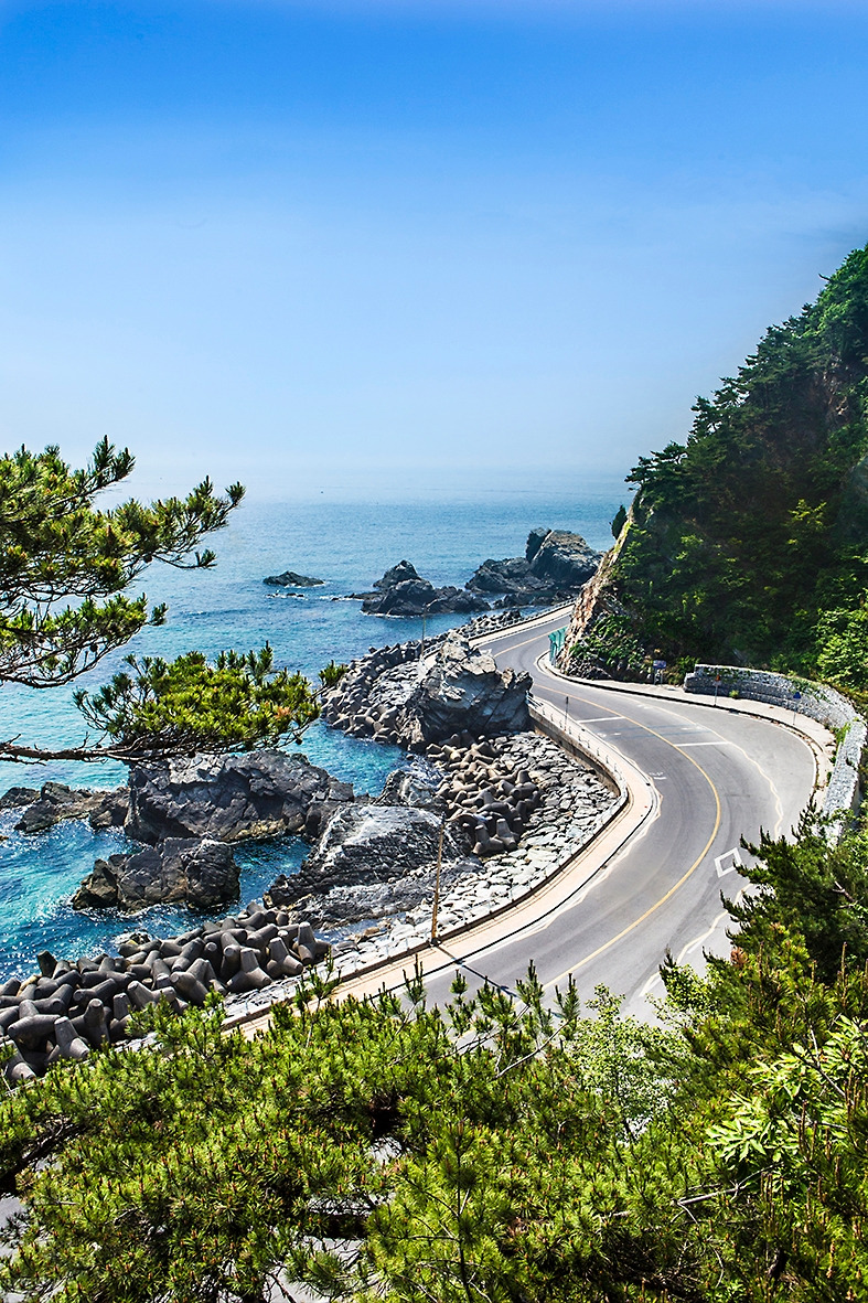 강릉 헌화로 흰색차로 변환 (140).jpg