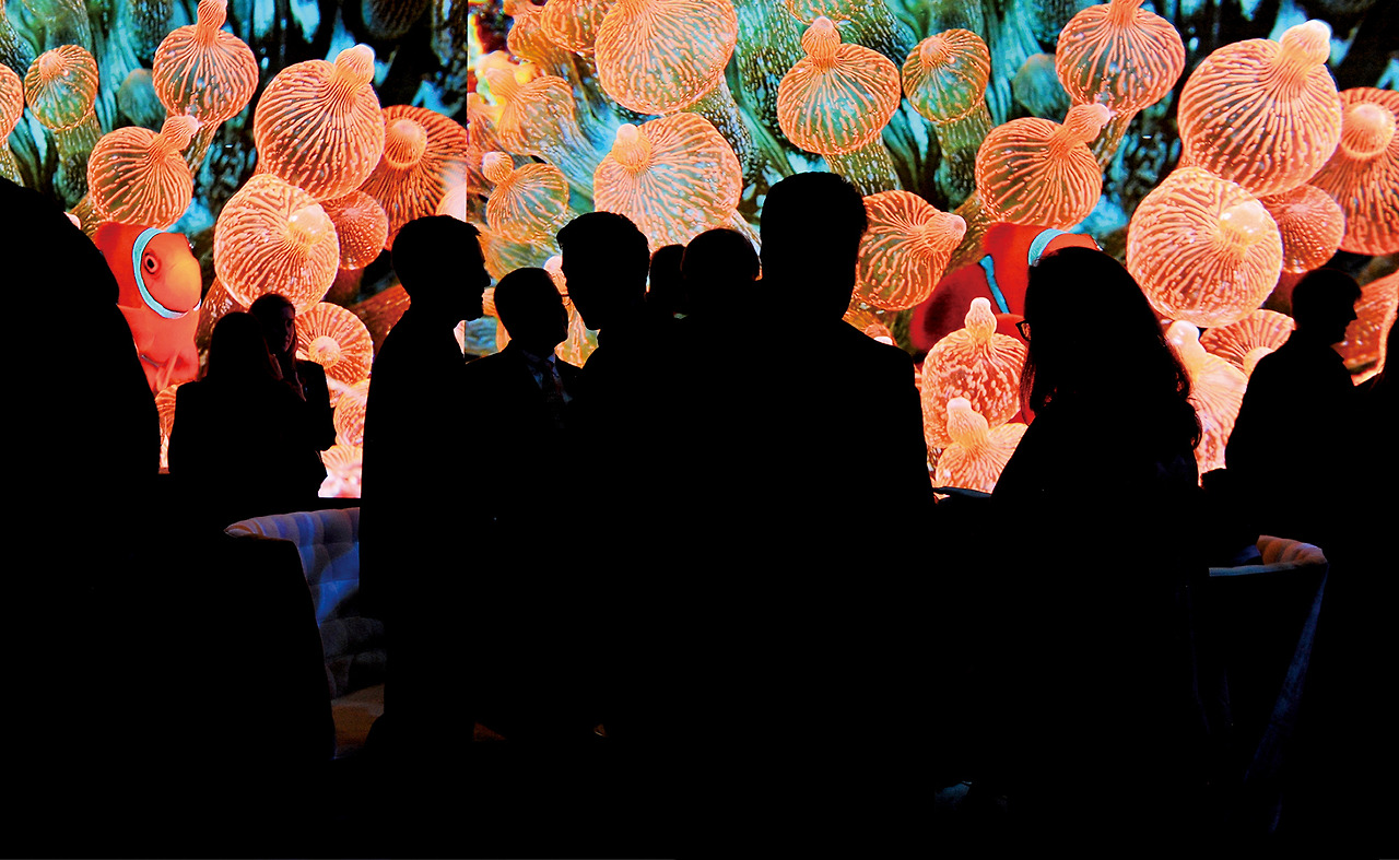 내셔널 지오그래픽 인카운터.jpg