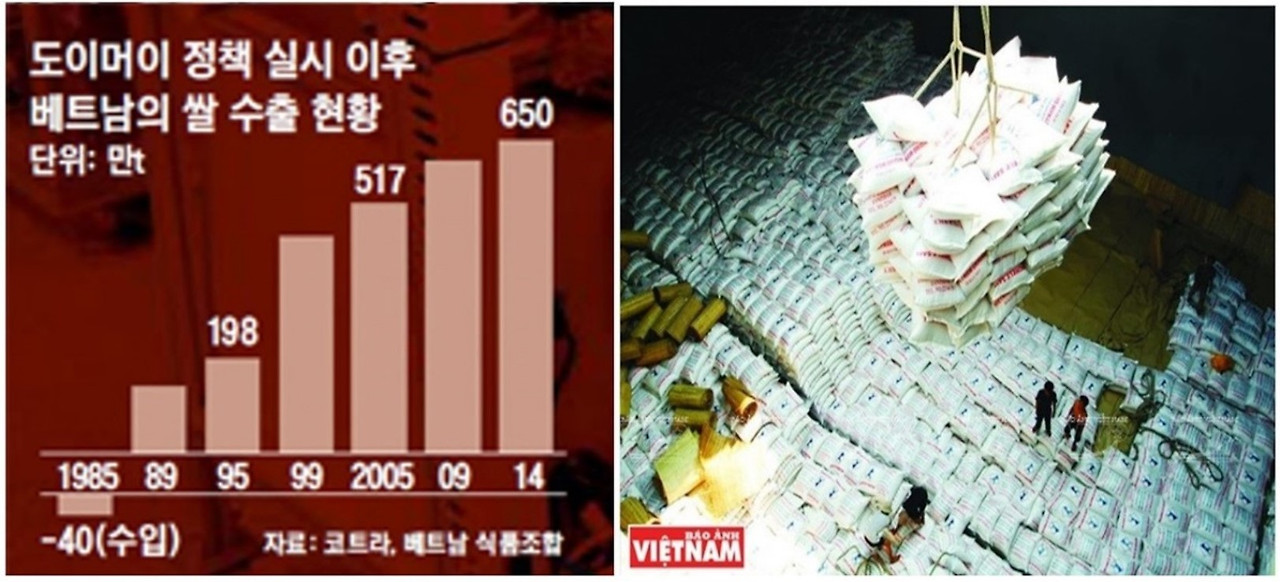 베트남 쌀 수출.jpg