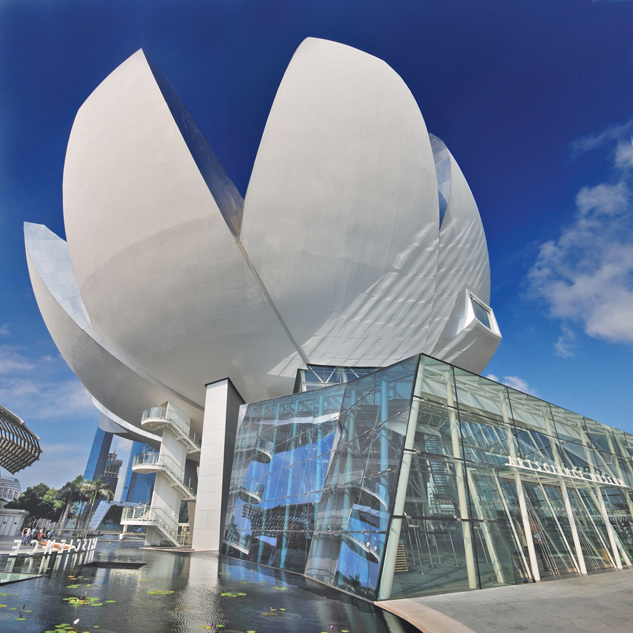 05.ASM_William Cho.jpg