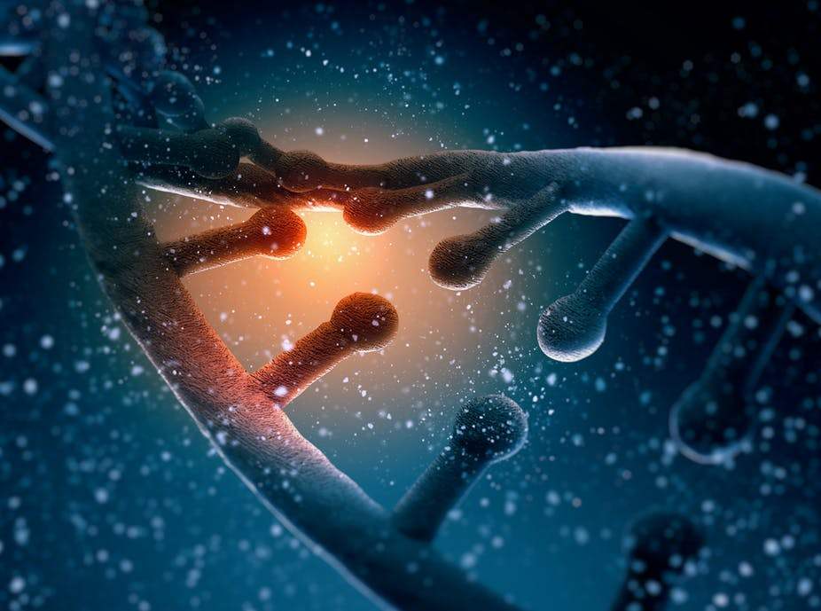 14-3 self gene (flawed).jpg