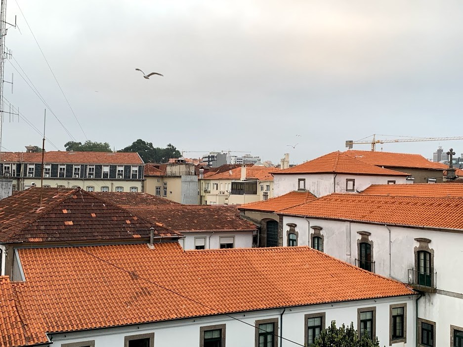 #16 1새의나라.jpg