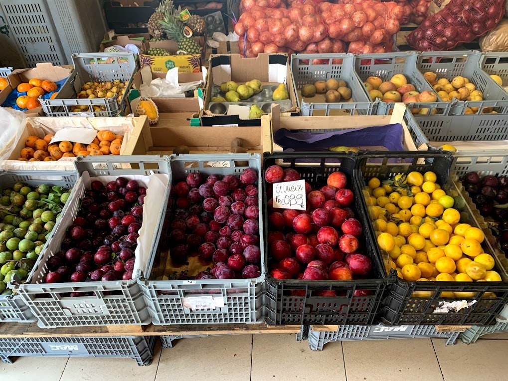 #14 1코임브라.jpg