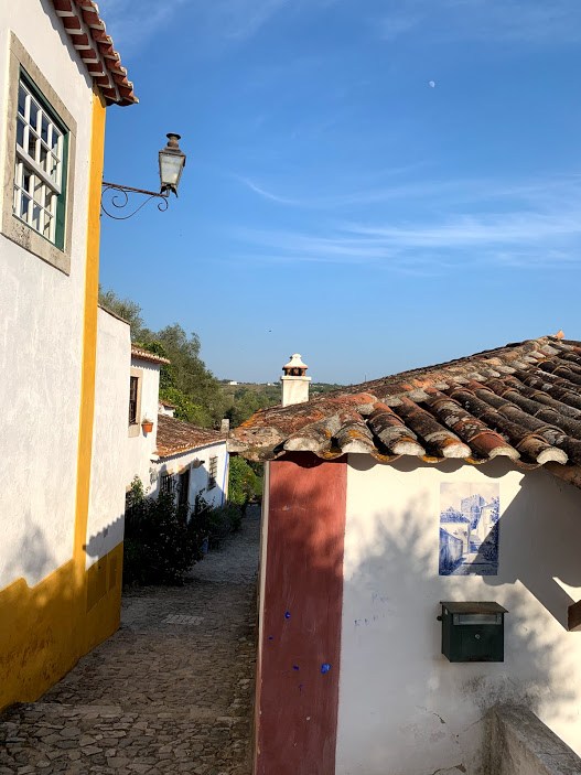 #12 10오비두스.jpg