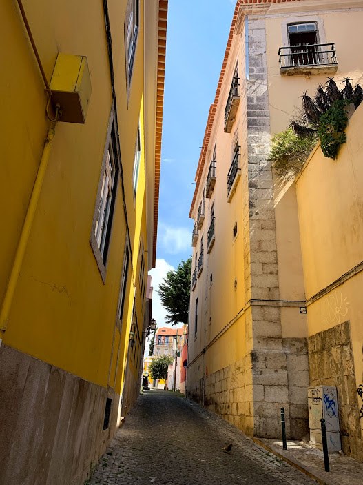 #5 7노란골목.jpg