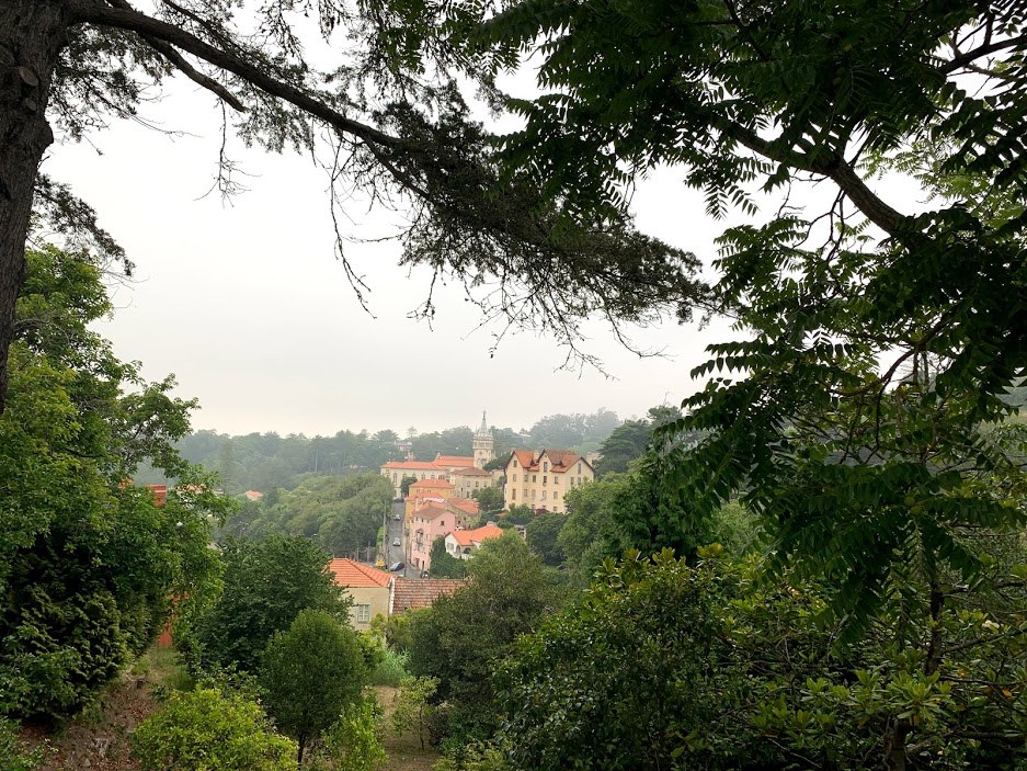 #8-4 부감동네.jpg